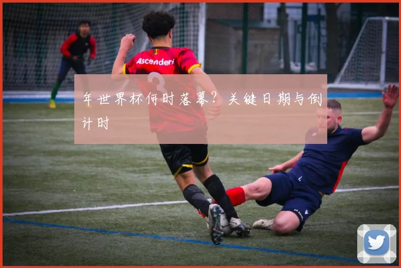 年世界杯何时落幕？关键日期与倒计时