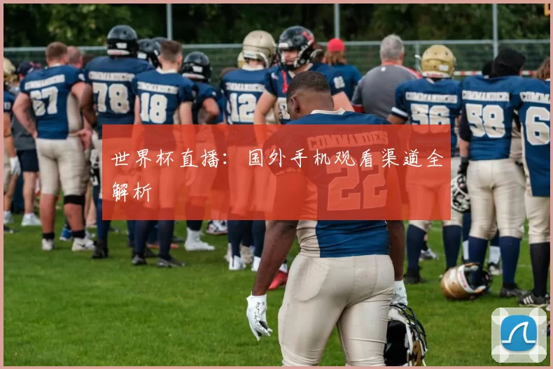 世界杯直播：国外手机观看渠道全解析