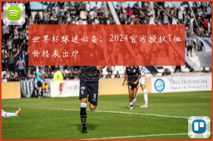 世界杯球迷必备：2024官方授权T恤价格表出炉