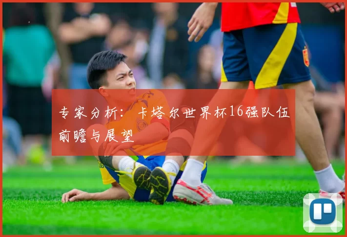 专家分析：卡塔尔世界杯16强队伍前瞻与展望