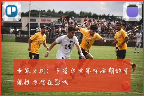 专家分析：卡塔尔世界杯延期的可能性与潜在影响