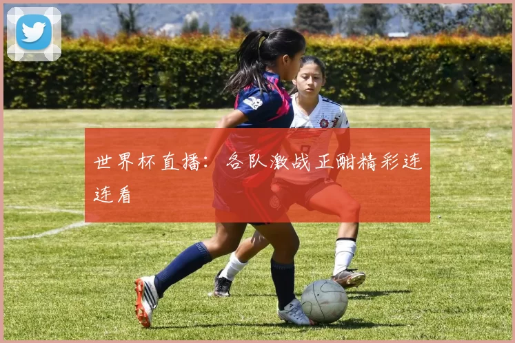 世界杯直播:各队激战正酣精彩连连看