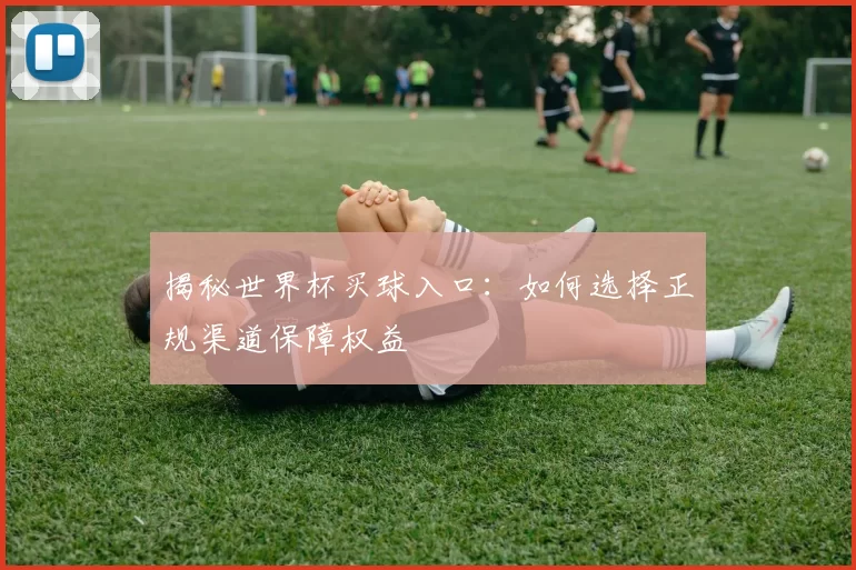 揭秘世界杯买球入口：如何选择正规渠道保障权益