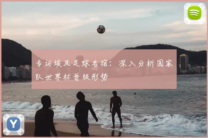 专访埃及足球名宿：深入分析国家队世界杯晋级形势