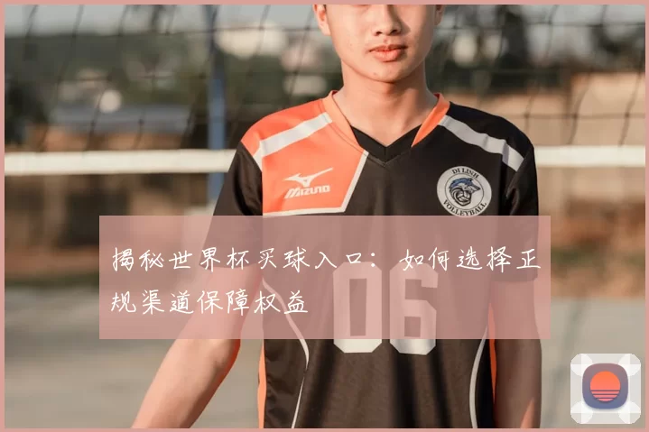 揭秘世界杯买球入口:如何选择正规渠道保障权益